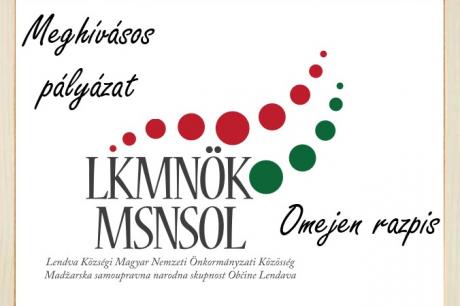 MEGHÍVÁSOS PÁLYÁZAT A TÁRSALAPÍTOTT INTÉZMÉNYEK TÁMAGATÁSÁRA MEGHÍVÁSOS PÁLYÁZAT A TÁRSALAPÍTOTT INTÉZMÉNYEK TÁMAGATÁSÁRA