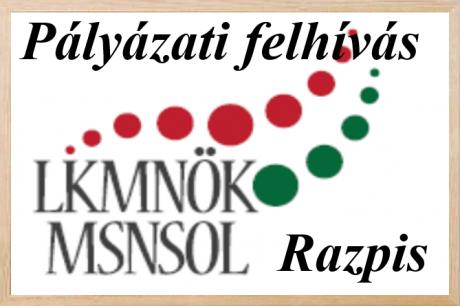 PÁLYÁZATI FELHÍVÁS CIVIL SZERVEZETEK RÉSZÉRE PÁLYÁZATI FELHÍVÁS CIVIL SZERVEZETEK RÉSZÉRE